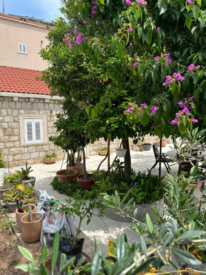 Apartments Lomara Dubrovnik Exterior foto